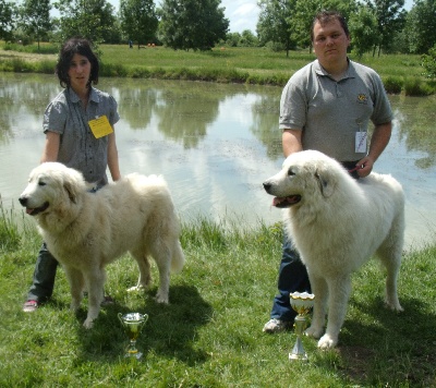 du Pic de la Coubre - CACS ROCHEFORT 08/05/2011