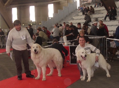 du Pic de la Coubre - CACIB POITIERS 2009